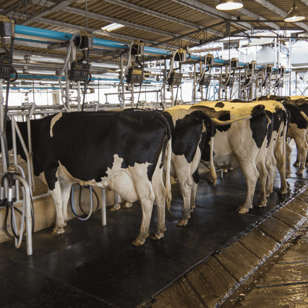 Agriculture — Clean Power on the Farm